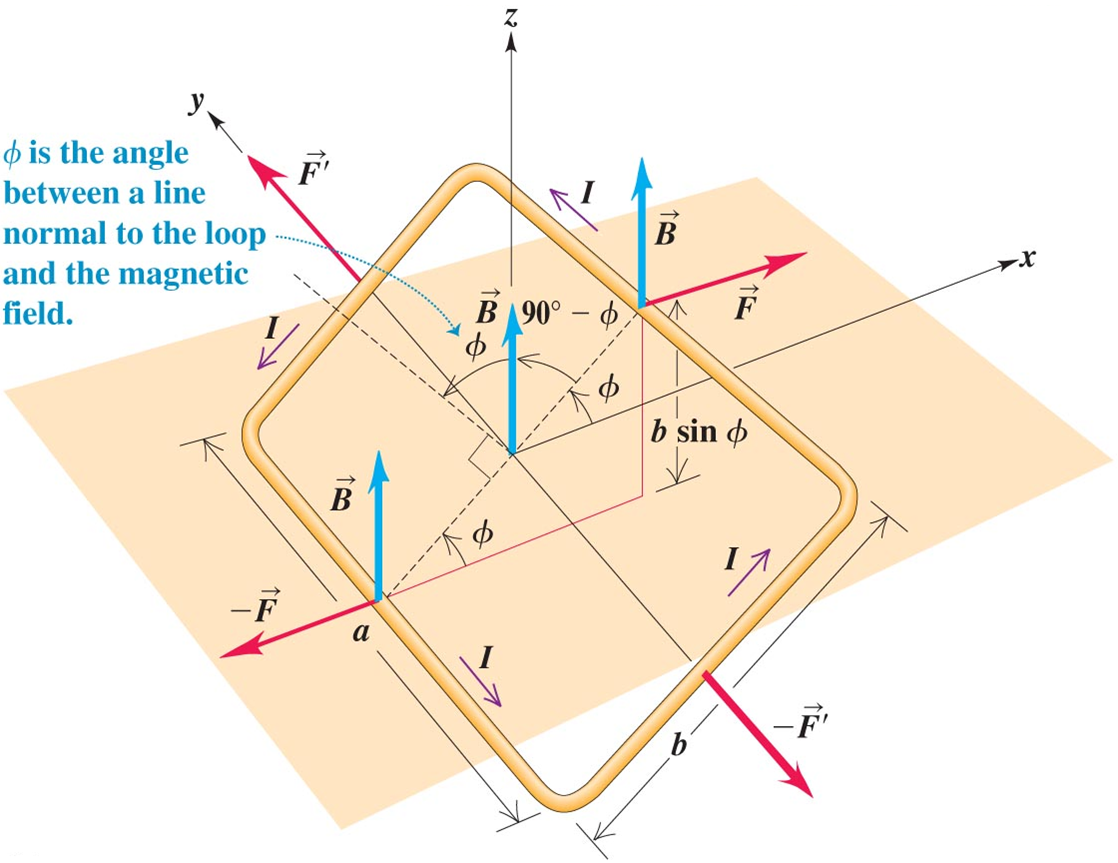 UY1 Force Torque On Current Loop In Magnetic Field Mini Physics 